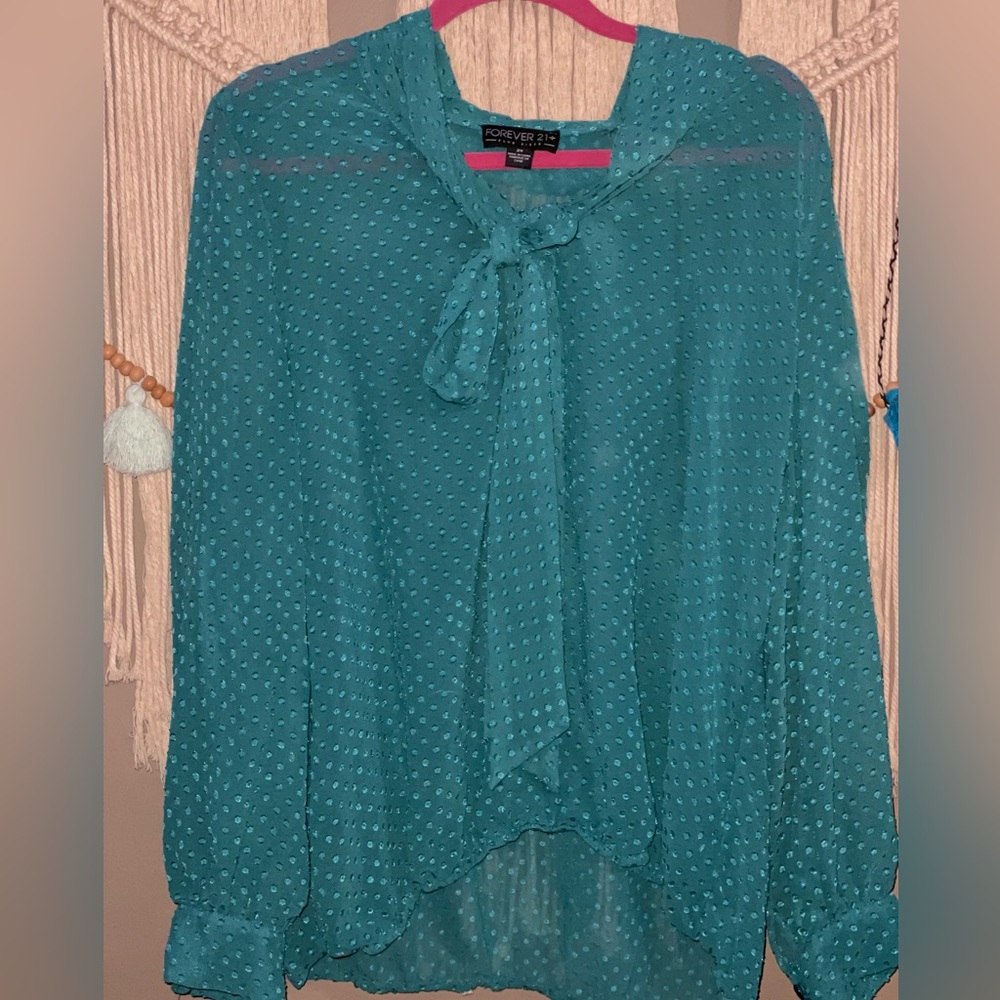 Sheer Long Sleeve blouse